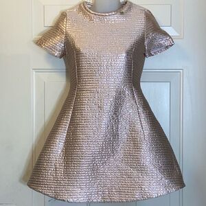 New Never Work No Tag Val Max Made In Italy Dress Size 90/12 Color Metallic